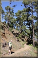 Wandeltocht